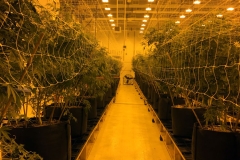 Completed Grow Room MI