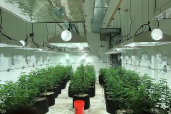 Dehumidification For Grow Rooms MI