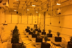 Dehumidification For Grow Rooms MI
