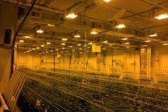 Completed Grow Room MI