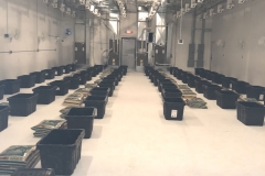 How To Build A Grow Room MI