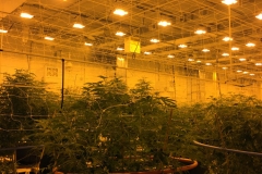 Completed Grow Room MI
